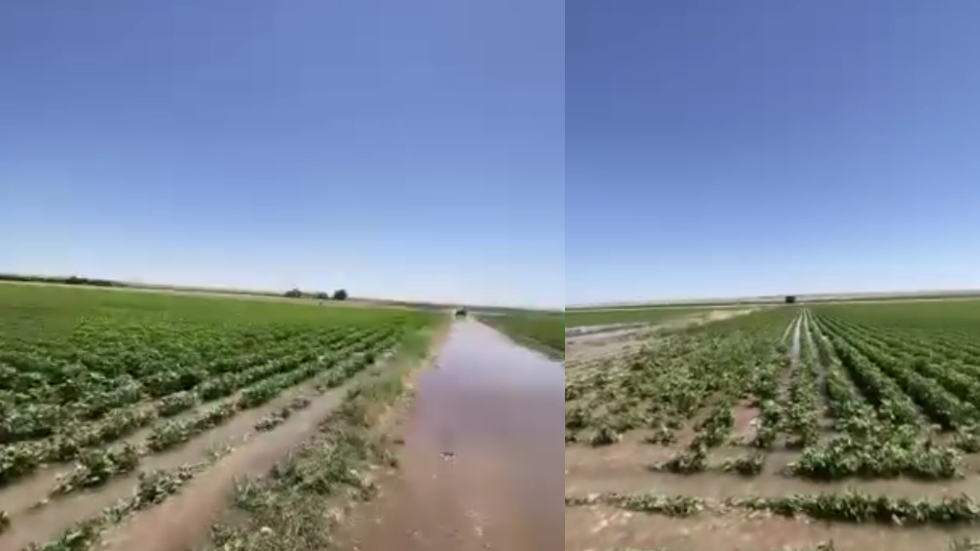 Tarim Arazi̇leri̇ Zarar Gördü