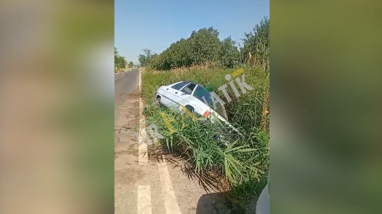 Şanlıurfa’da Köpeğe Çarpmamak İçin Manevra Yapan Otomobil Şarampole Devrildi