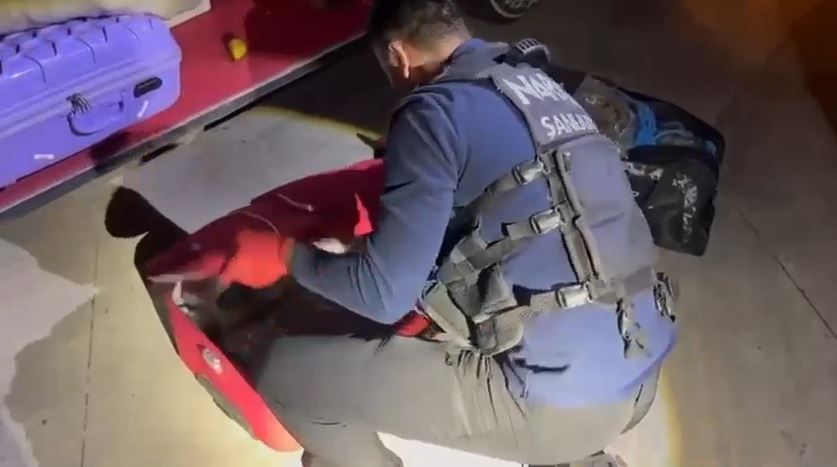 Şanlıurfa’da yolcu otobüsünde 16 kilo 400 gram Skunk maddesi ele geçirildi